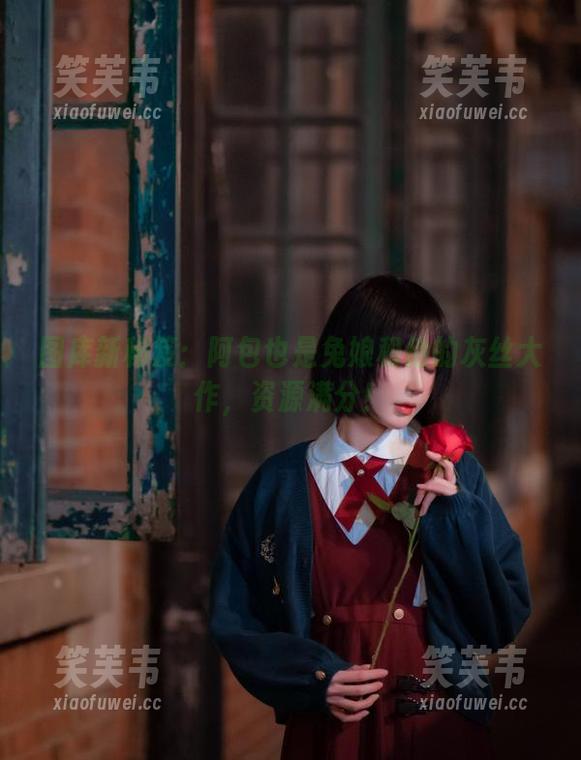 图库新秘笈：阿包也是兔娘和他的灰丝大作，资源满分！